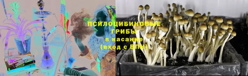 Галлюциногенные грибы GOLDEN TEACHER  kraken ссылки  Кодинск 